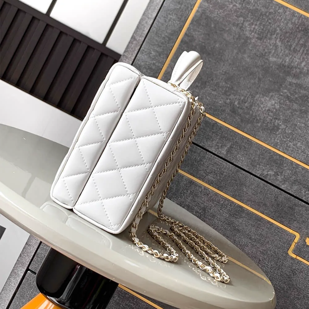 Reference image illustrating Replica CHANEL Box Pack Bag in Lambskin and Gold-Tone Metal (Style AS5168)