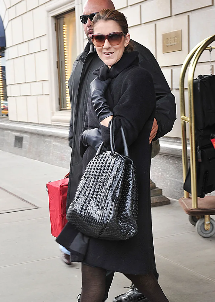 Reference image illustrating Céline Dion’s Designer Handbag Collection: A Look at Her Most-Worn Luxury Bags
