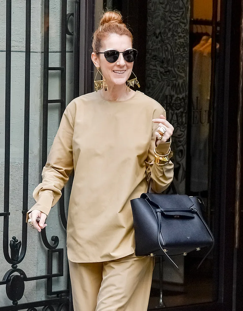 Reference image illustrating Céline Dion’s Designer Handbag Collection: A Look at Her Most-Worn Luxury Bags