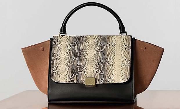 Celine Trapeze Bag Review: Why This Sleek Icon Still Matters thumbnail