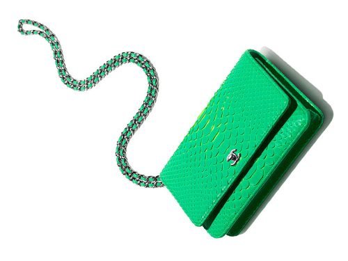 Chanel Spring 2017 Wallets, WOCs, and Accessories: A Complete In-Store Guide thumbnail