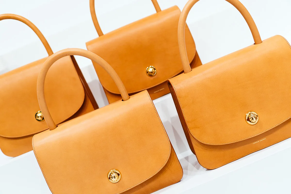 Reference image illustrating Mansur Gavriel Spring 2017: New Bag Styles, Prints, and Expanded Shoe Collection