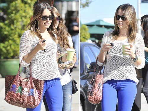 Sophia Bush Customizes Her Burgundy Goyard Tote with Pastel Skull Decals thumbnail