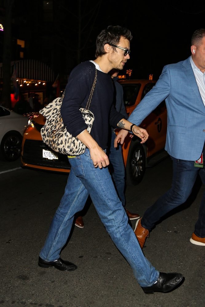 Reference image illustrating Why the Chanel Maxi Leopard Flap by Matthieu Blazy Is Already a Celebrity-Favorite It-Bag