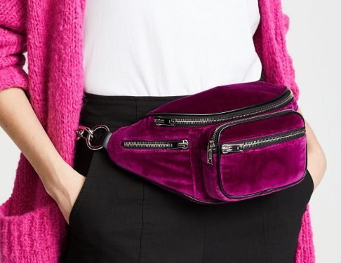 Alexander Wang Attica Fanny Pack Restocked: Mini and Velvet Versions Now Available thumbnail