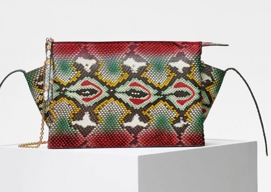 Céline Trifold Crossbody Clutch Review: Why This Understated Python and Crocodile Bag Deserves a Spot in Your Collection thumbnail