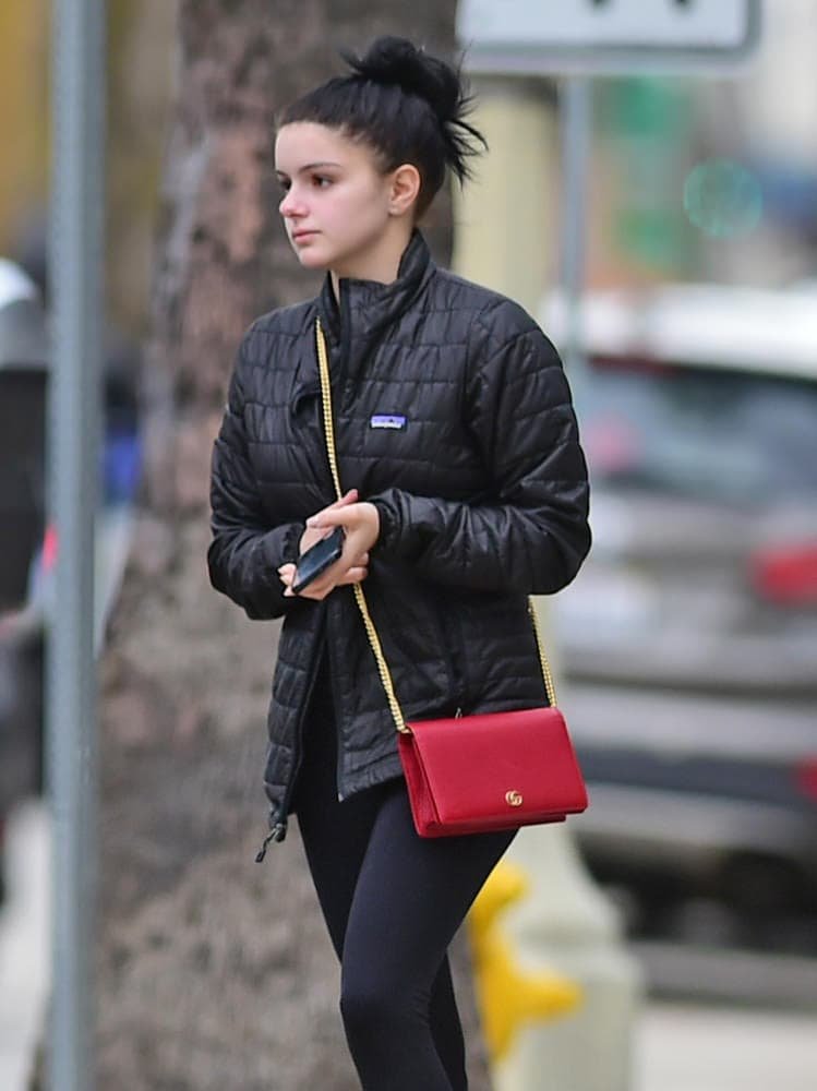 Reference image illustrating Celebrities Favor Gucci, Ferragamo, Altuzarra and Burberry: LA Street Style Bag Watch