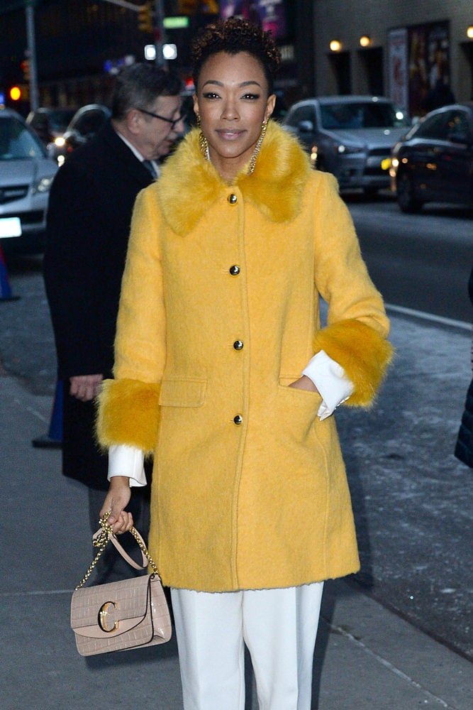 Reference image illustrating Celebrities Spotted with New Chloé, Valentino, and Dior Handbags During Paris Fashion Week