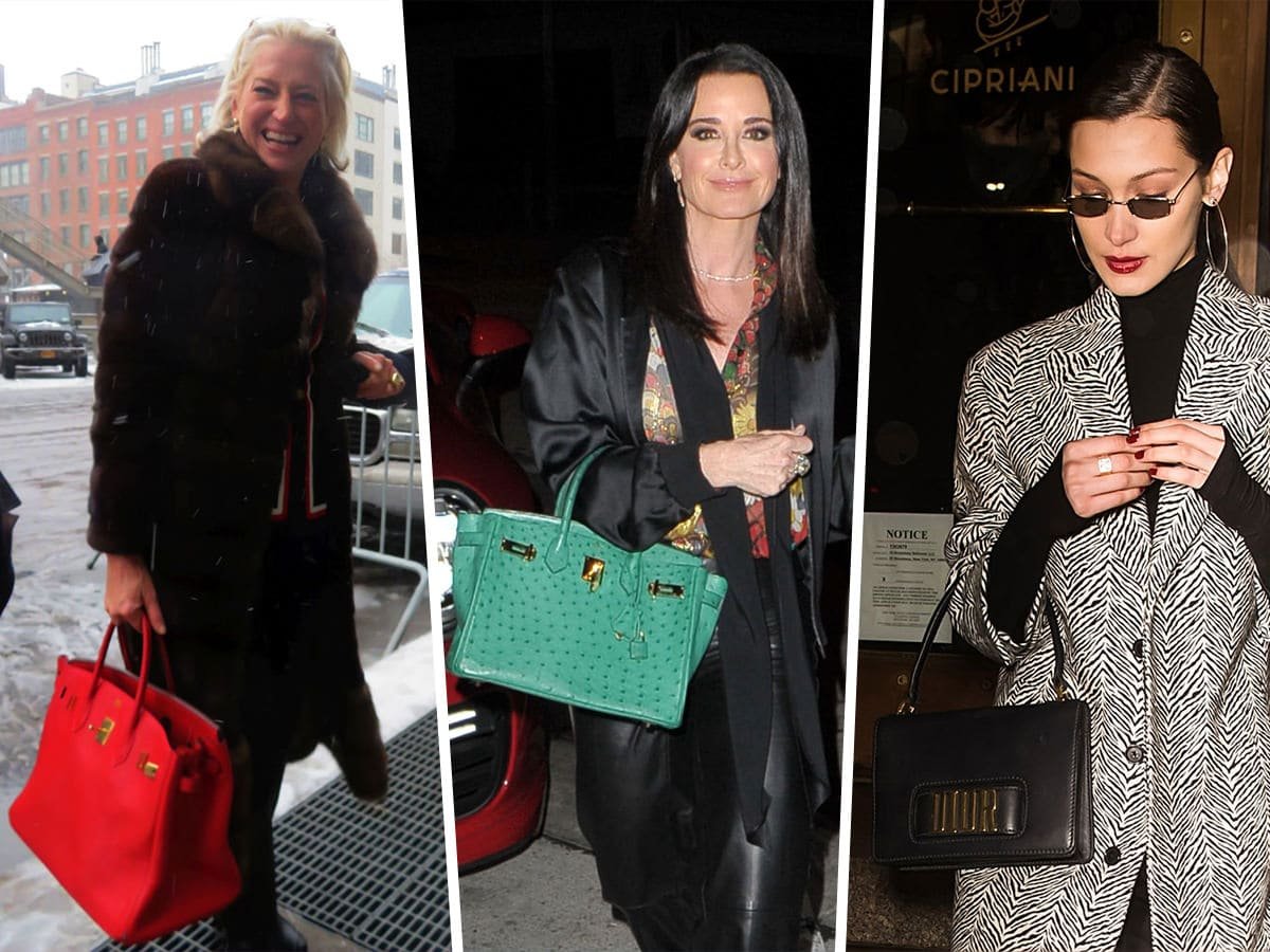 Reference image illustrating Celebrity Handbag Sightings at Fashion Week: Birkin, Dior, and Gabriela Hearst