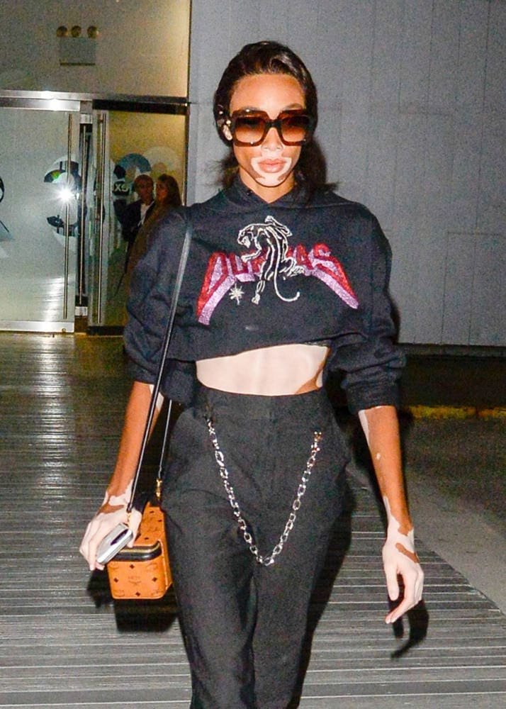 Reference image illustrating Celebrity Handbag Sightings: Gucci, Givenchy, Celine and More Worn by the World’s Most Stylish Women