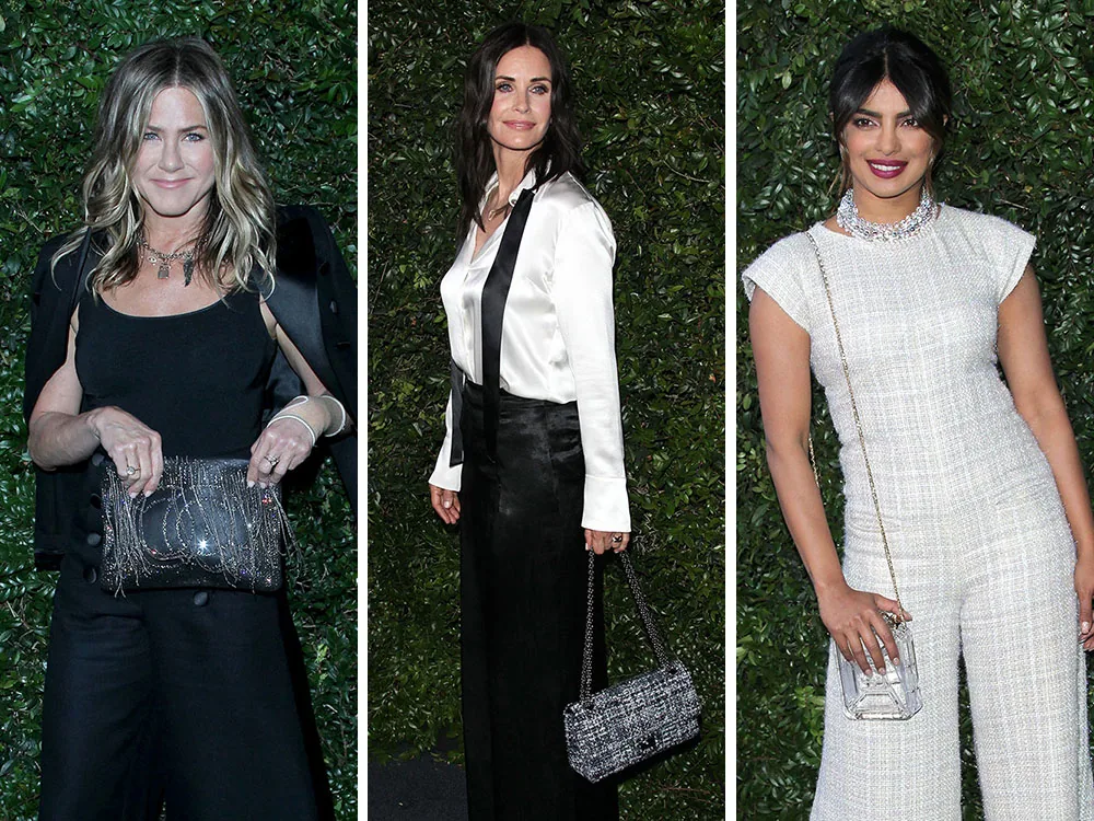 Reference image illustrating Chanel Malibu Party 2018: Every Celebrity Bag Spotted at the NRDC Benefit Dinner