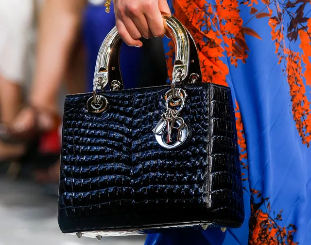 Reference image illustrating Dior Spring 2014 Handbags: A Luxurious Focus on Exotic Leathers