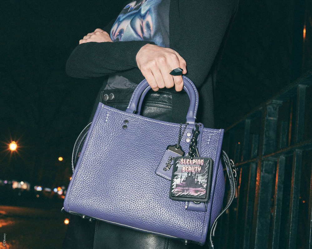 Reference image illustrating Disney x Coach Dark Fairytale Collection: Best Bags, Apparel & Accessories