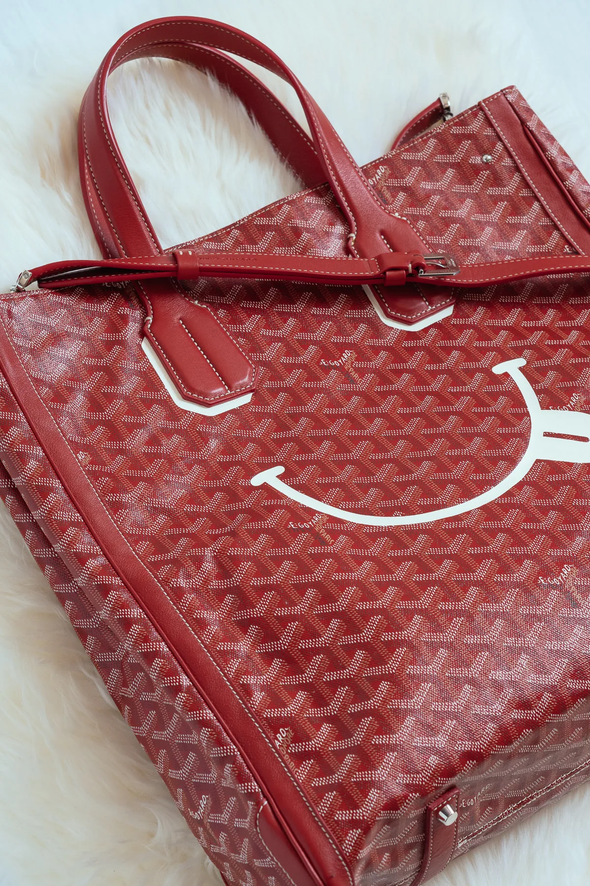 Reference image illustrating Goyard Voltaire Smile Tote: A Playful Limited Edition Statement Piece